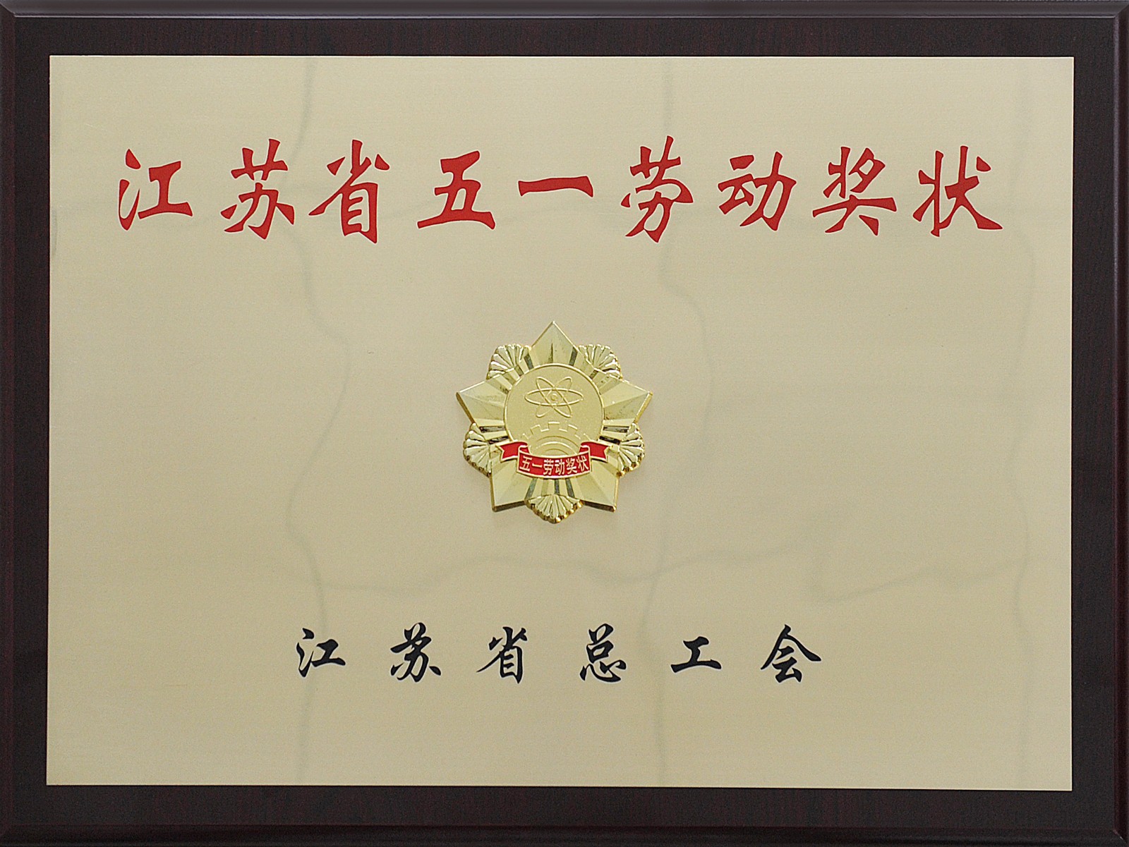江蘇省五一勞動(dòng)獎(jiǎng)狀.jpg